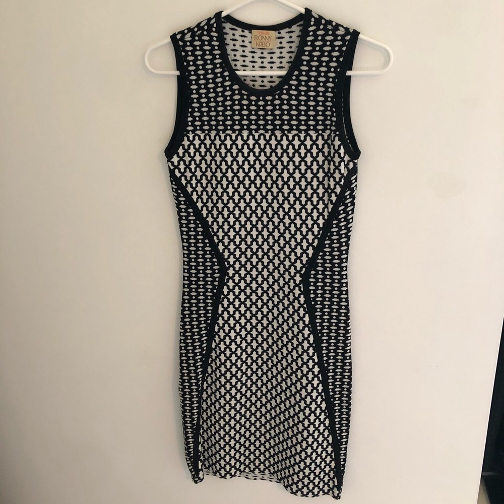 Ronny Kobo Dress